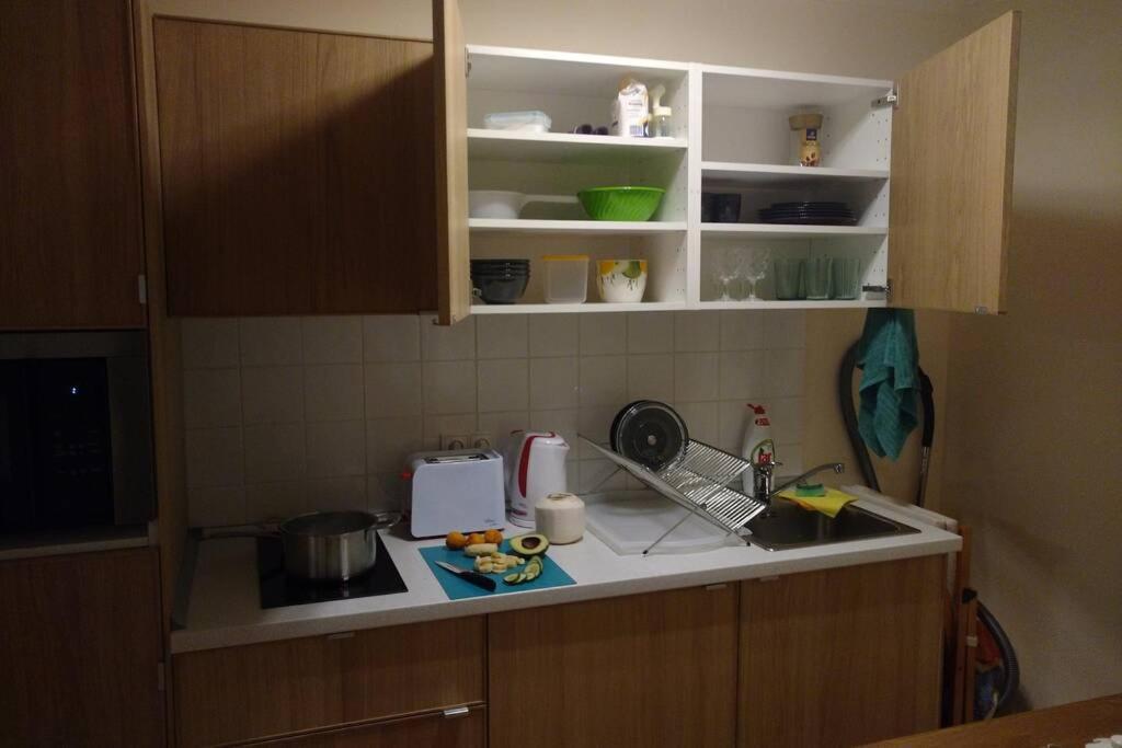 Marvelous Apartment In The Center Of Praag Buitenkant foto